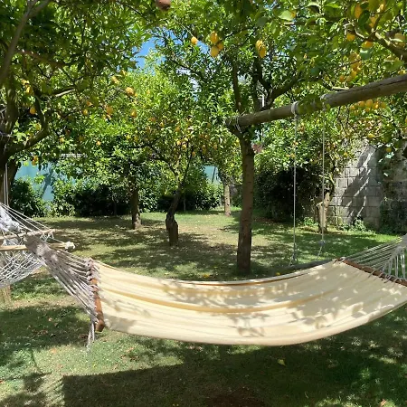 Casa Sorrento, Immerso Nel A Pochi Passi Dal Centro Apartmán Sorrento