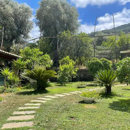 Διαμέρισμα Casa Sorrento, Immerso Nel A Pochi Passi Dal Centro Σορέντο
